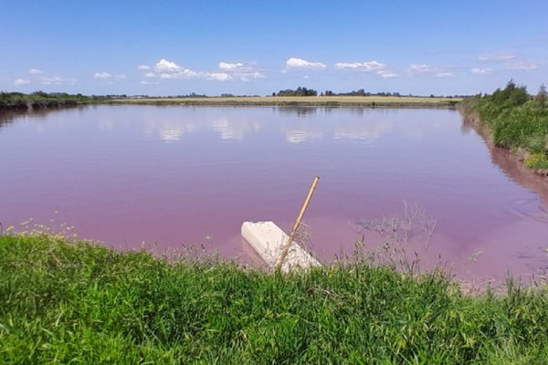 Gobierno provincial analiza el fenómeno de coloración en el arroyo Espinillo