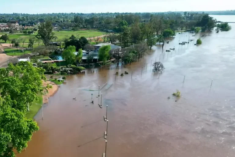 Alerta en Concordia: la creciente del río Uruguay podría alcanzar el nivel de evacuación