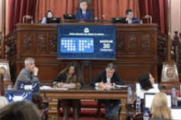 Media sanción para Fonoaudiología entrerriana en Diputados