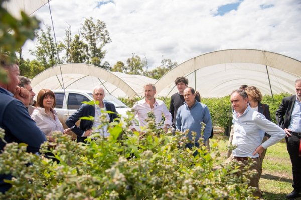 Frigerio recorrió una empresa exportadora de arándanos, cítricos dulces y frambuesas