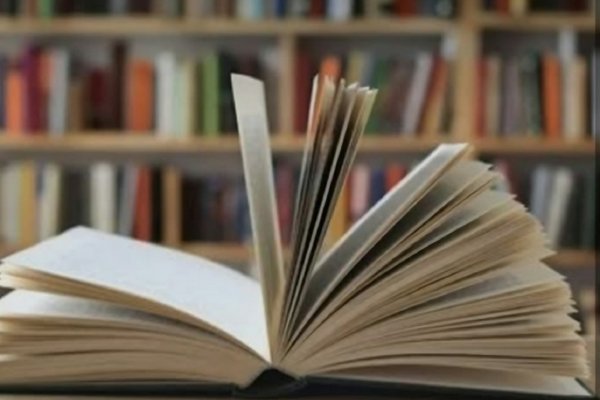 Cámara de Diputados reconoce la trayectoria institucional de Sade Entre Ríos