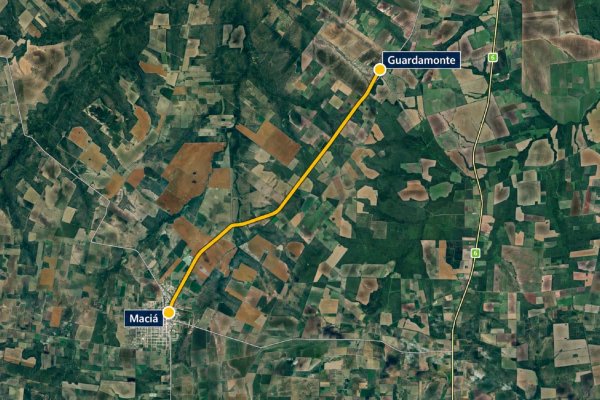 La provincia licita caminos rurales y accesos para cooperativas apícolas